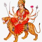 whatsapp image 2026 02 07 at 11.09.39 am